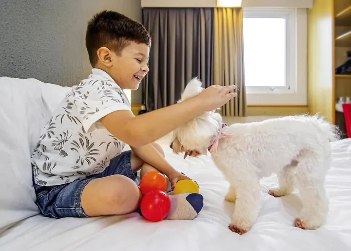 Ibis Criciuma Hotel
