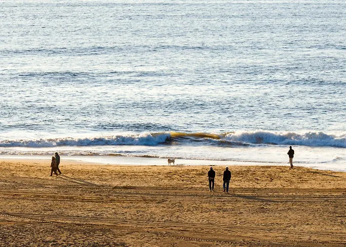 Petit Palace Tamarises Getxo