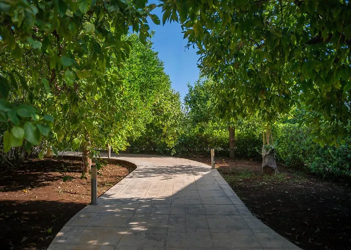 Terra Dei Limoni