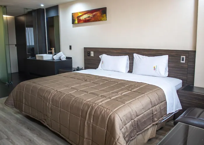 Hotel Amazonas México DF