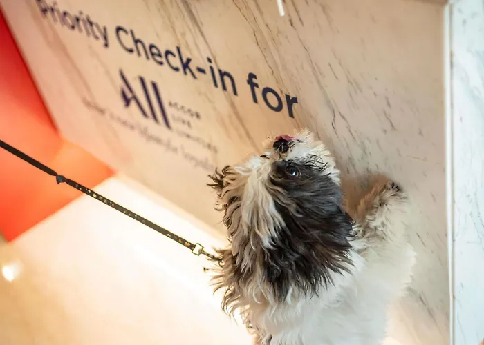 ibis Hotel Hamburg St. Pauli Messe