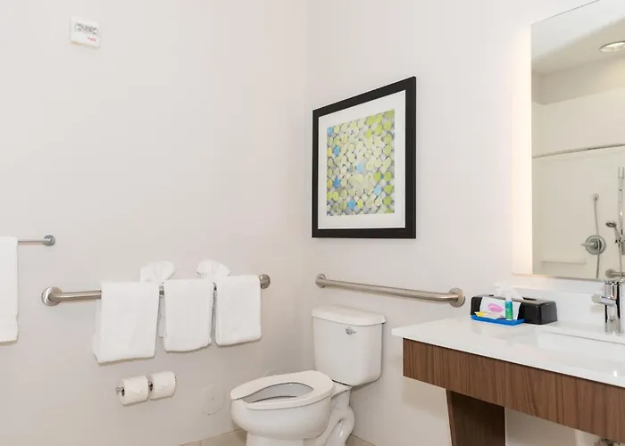 Holiday Inn Express Hotel&Suites Tampa-USF-Busch Gardens, an IHG Hotel