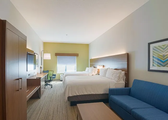 Holiday Inn Express Hotel&Suites Tampa-USF-Busch Gardens, an IHG Hotel