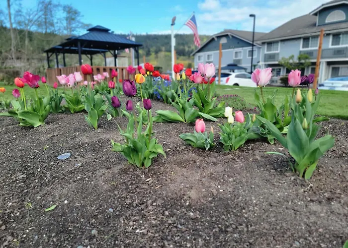 Fidalgo Country Inn