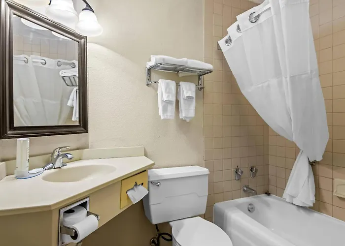 Quality Inn & Suites Grayling