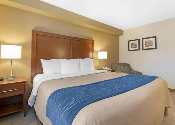 Comfort Inn Iron Mountain North