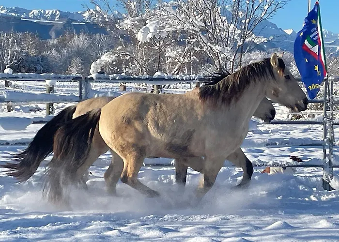 B&B Cm Ranch Cuneo