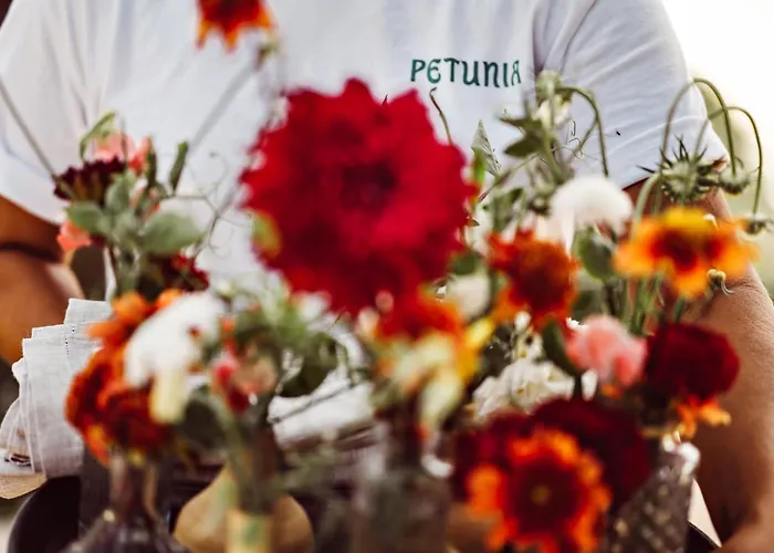 Petunia Ibiza, A Beaumier Hotel (Adults Only)