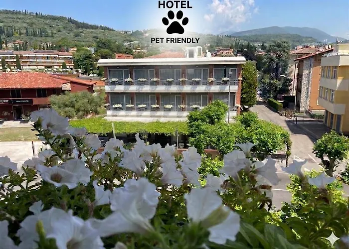 Hotel Benaco Garda ***S