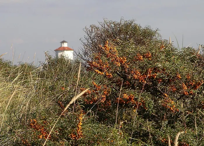 Suitenhotel Idyll Heckenrose Langeoog