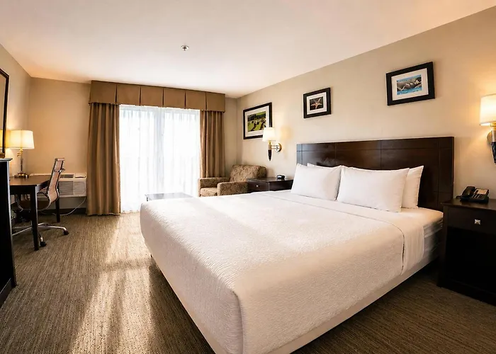 The Volare, An Ascend Collection Hotel San Clemente