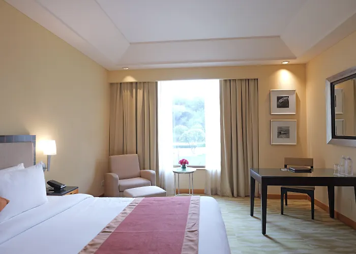 Hotel The Grand Nuova Delhi