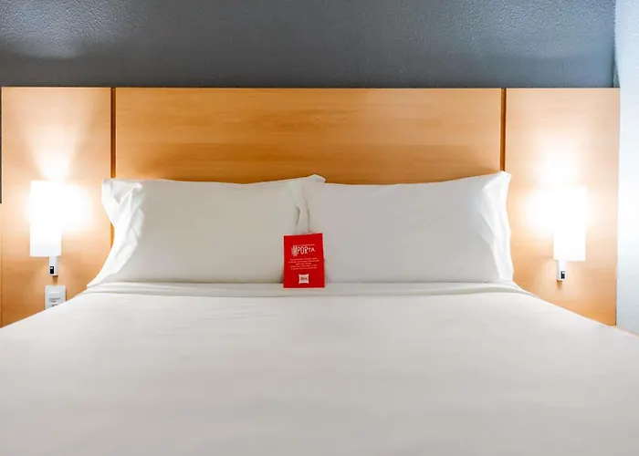 Ibis Joinville