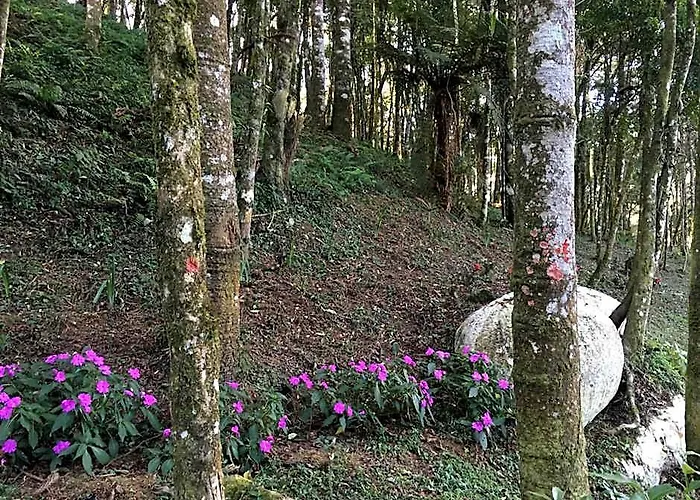Chales Vila Flor Gonçalves