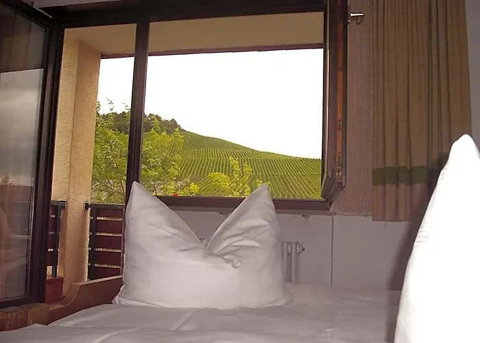 Hotel Alte Kelter Fellbach
