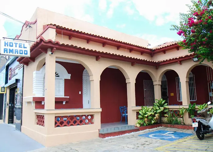 Hotel Amado