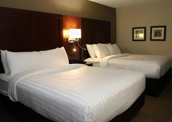 Comfort Inn & Suites Rochelle - Dekalb