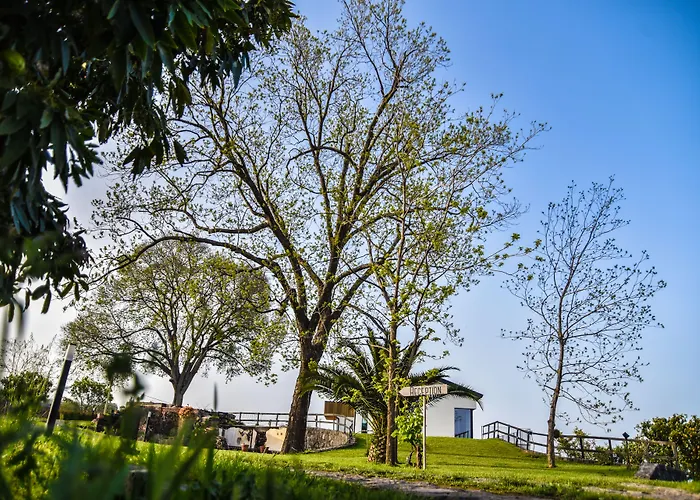Bed and Breakfast Agro Sicily Mascali