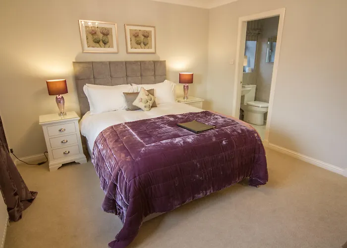Springfield Lodge Bed And Breakfast