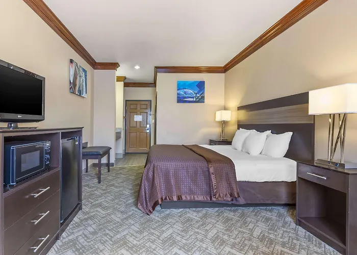 Best Western Fort Worth Inn & Suites
