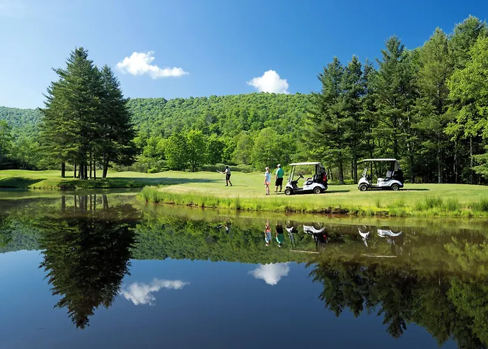 Allegheny Springs