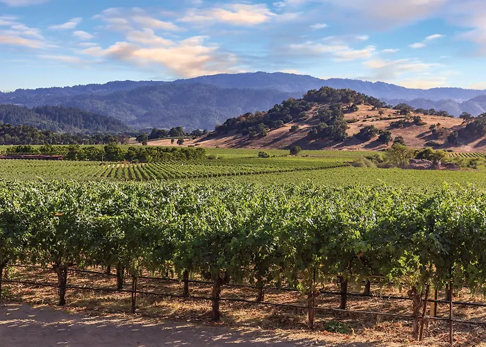 Vino Bello Resort (Adults Only) Napa