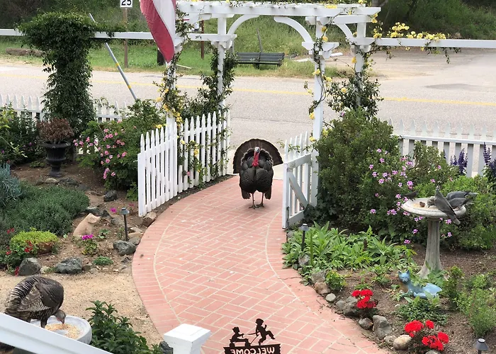Olallieberry Inn Bed And Breakfast