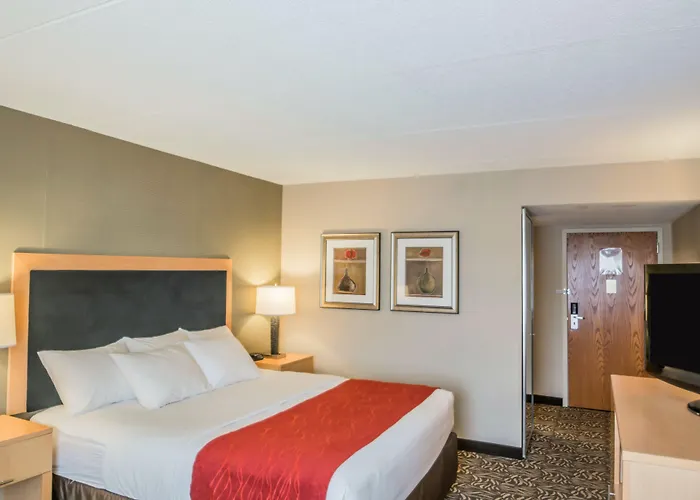 Comfort Inn - Nys Fairgrounds