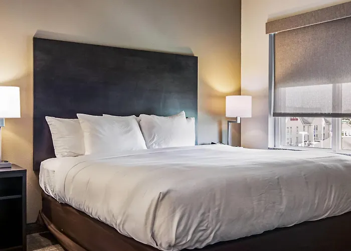 Comfort Suites Wooster Near University Campus