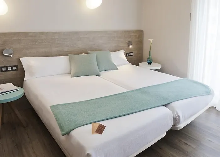 Hotel Dos Rios Central Aínsa-Sobrarbe