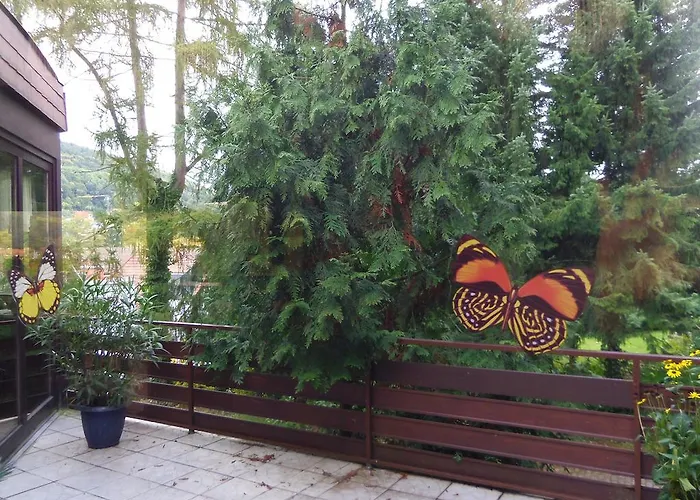 Hotel Salinenblick