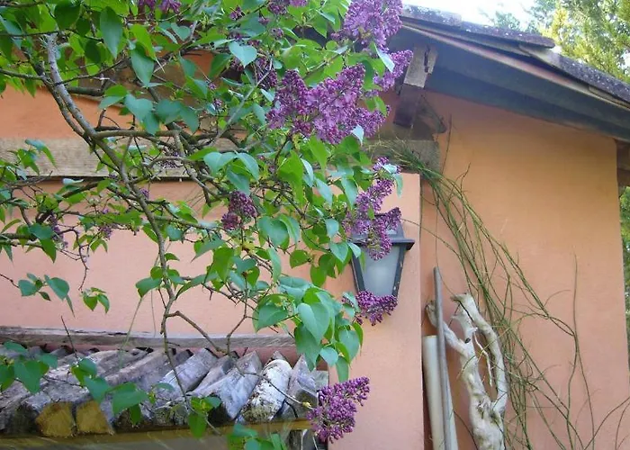 La Maison De Melen