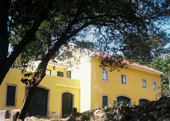The Five House