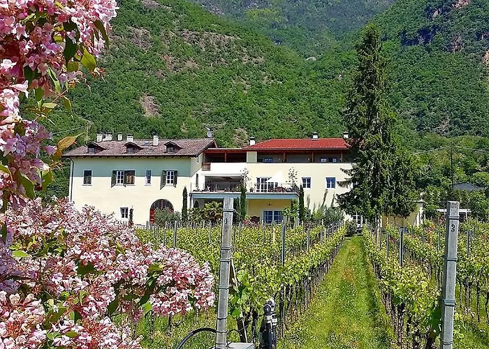 Brandlgut Hotel Bozen