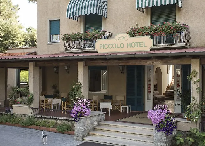 Piccolo Hotel Forte dei Marmi