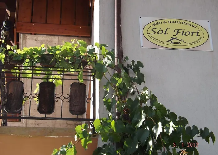 B&B Sol Fiori