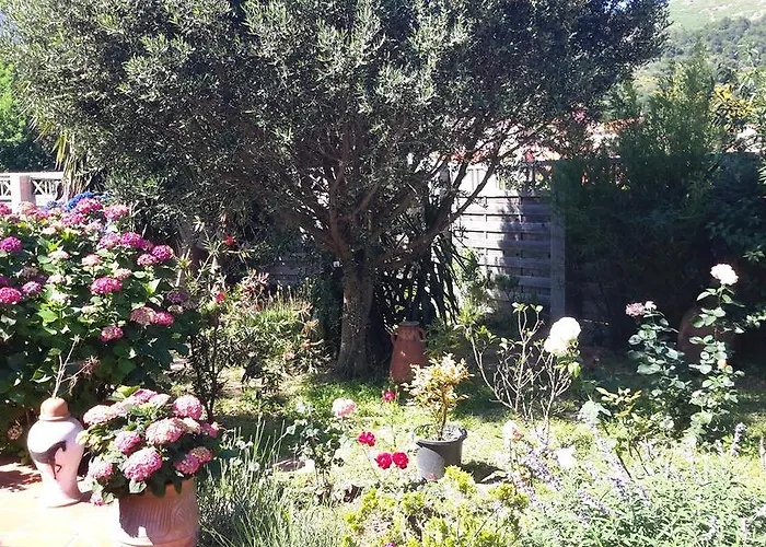 Hotels in Collioure