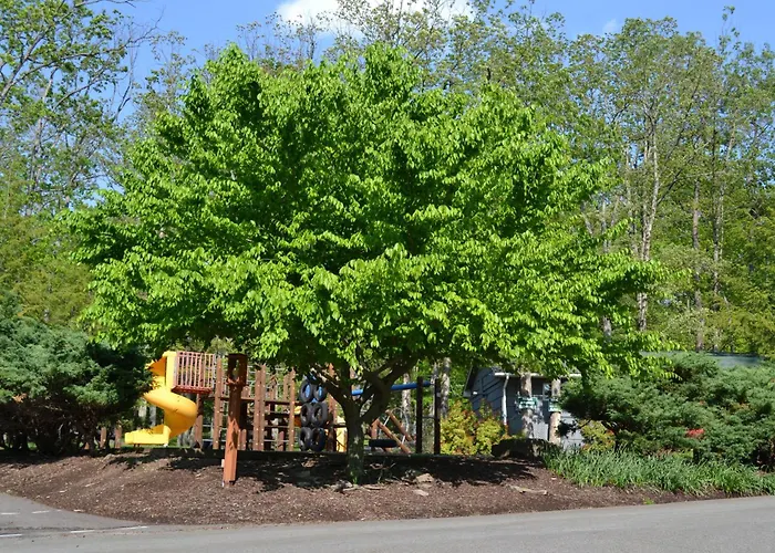 Woodloch Pines Resort