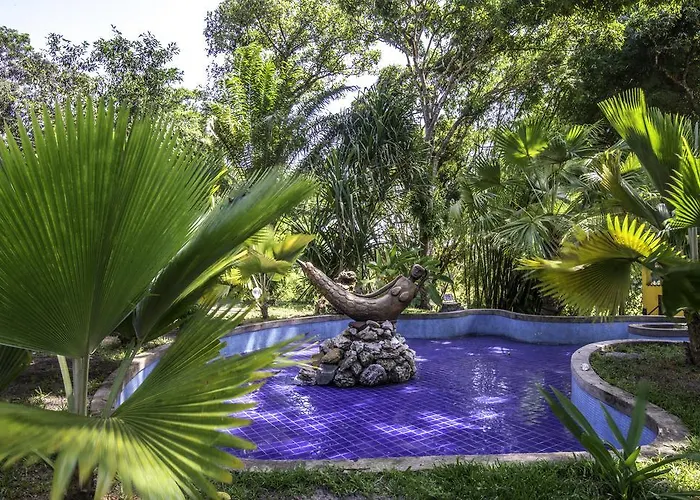 Sitio Oasis Hotel Morro de São Paulo