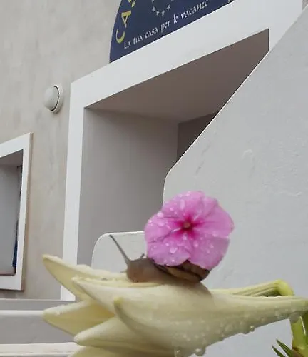 Hotel Residence Il Mulino