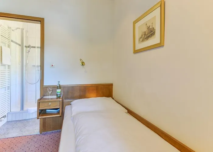 Hotel Zur Mühle Bad Brückenau