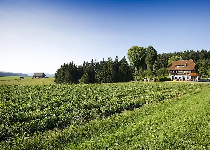 Gasthaus Schweizerhof Titisee-Neustadt