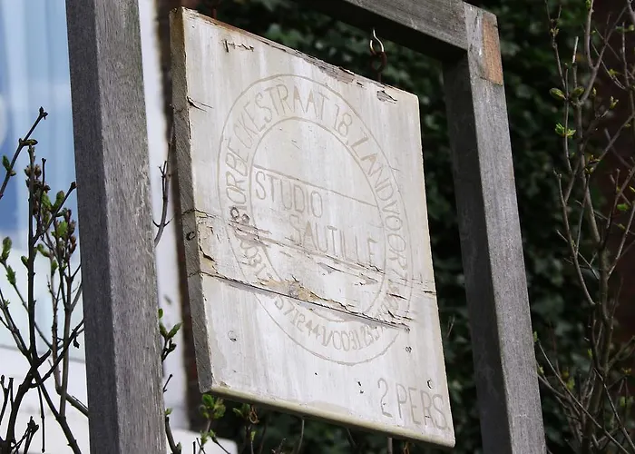 Sautille2
