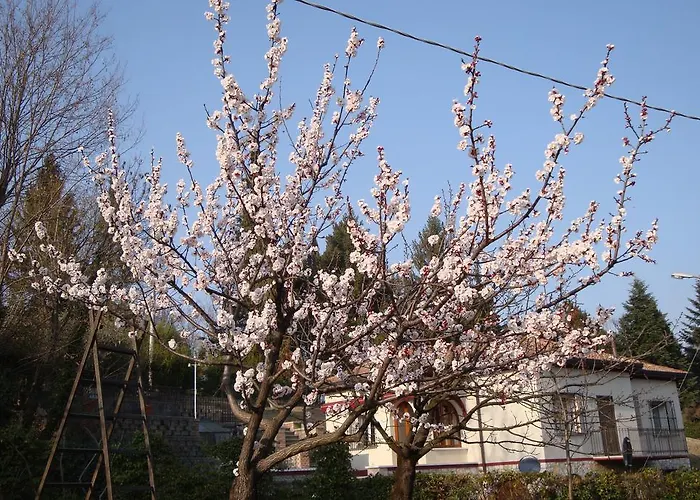 Sporting Hotel Ragno D'oro Conegliano