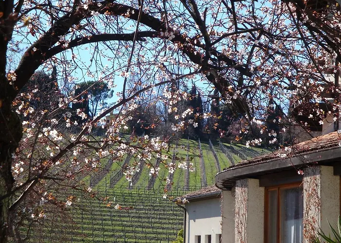 Sporting Hotel Ragno D'oro Conegliano