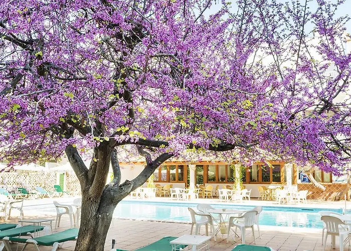 Hotel Gaya Peguera