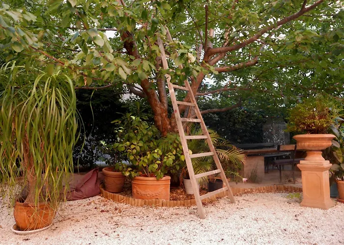 Hotel Jardin Vieux Port Panier à Marseille
