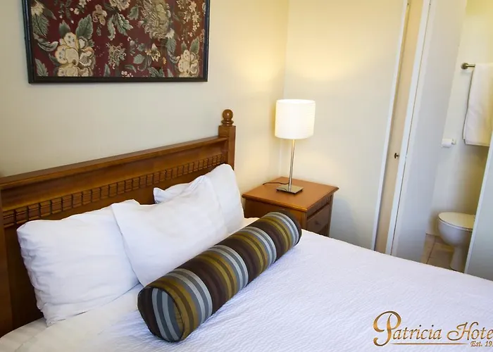 Budget Inn Patricia Hotel