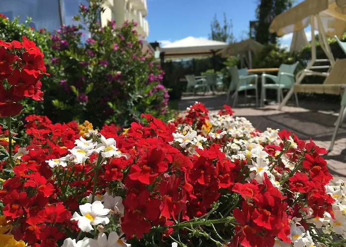 Hotel Consul Milano Marittima