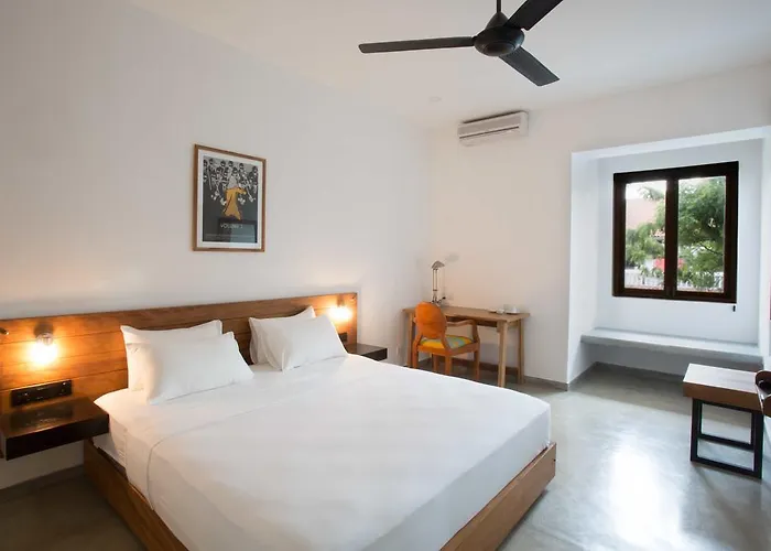 Moss Bnb Colombo